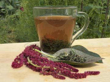 Tea, gifting rejuvenation internal systems
