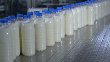 What really makes the milk? Tells how to distinguish a fake