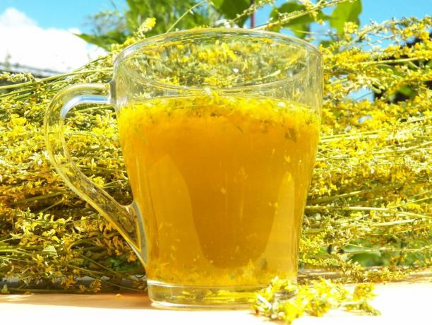 Sweet Clover drink. (From our idea of ​​tasty and healthy drink, and how best to take clover and how much it is in your case, look for more information).