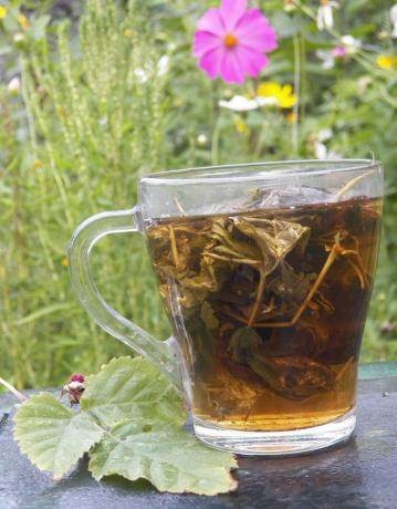 Antipyretic herbal tea Raspberry