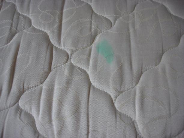 Picture taken by the author (the stain on the mattress)