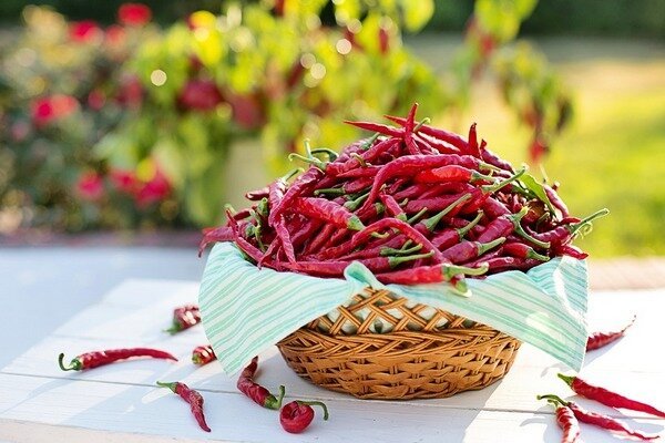 Scientists have found out - chili peppers prolong life (Photo: Pixabay.com)