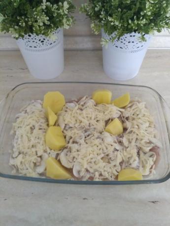Recipe chicken breast under the mushrooms with cheese