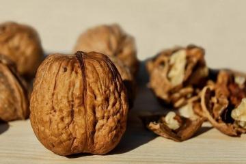 Fantastic properties of the walnut shell