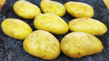 Young fragrant potatoes in the oven with a golden brown crust