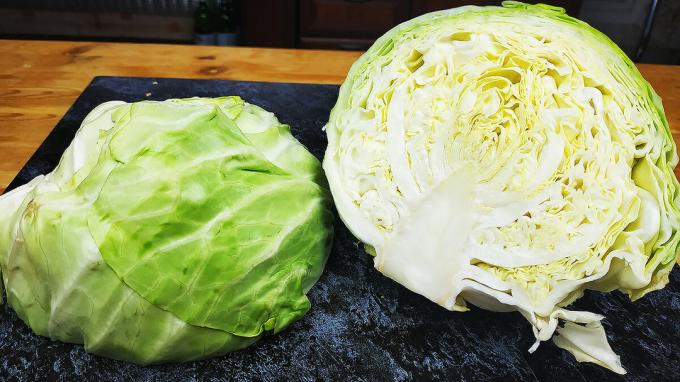Young cabbage