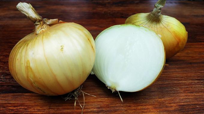 onion