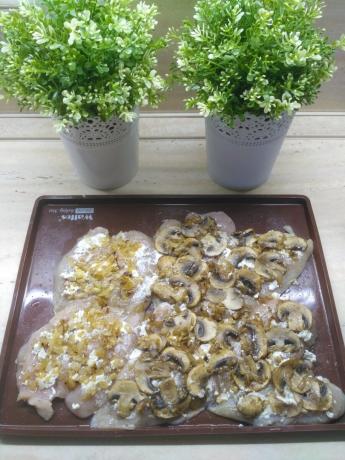 Lose weight tasty. Recipe chicken breast under the mushrooms with cream cheese.