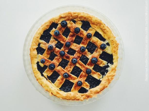 Blueberry pie. Top decorated with blueberries 