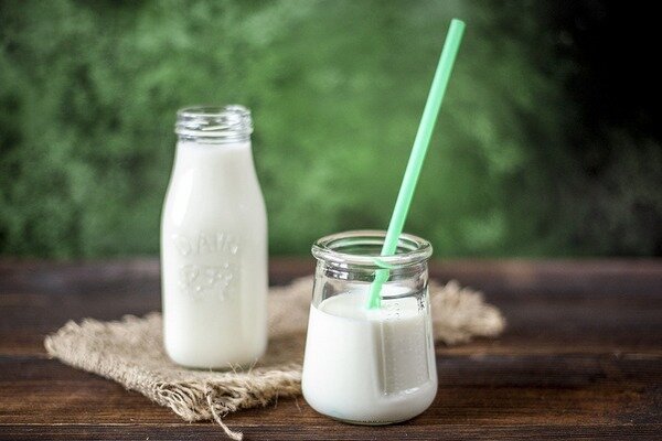Fermented Milk Products - Probiotic Suppliers (Photo: Pixabay.com)