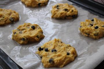 Biscuits with currants and chocolate chips