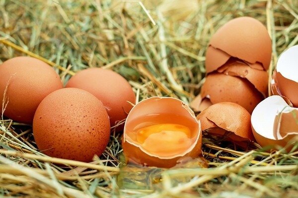 Eggs should not be eaten fresh, as this threatens the appearance of parasites in the body (Photo: Pixabay.com)