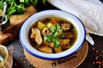 Dried mushroom soup