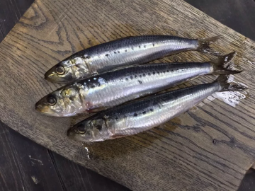 What was the secret of taste of herring-iwashi Soviet times