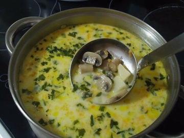 Cheese soup with mushrooms. Quick and tasty