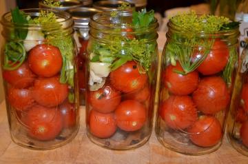 Marinated tomatoes "Zadonsk" for the winter