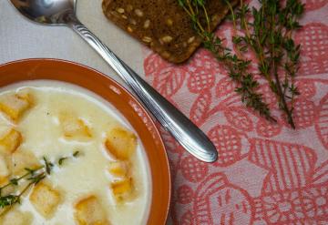 Zucchini soup and cream cheese: delicious, simple, fast, cheap