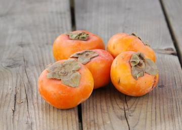 What is useful in persimmon?