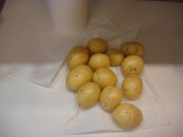 Picture taken by the author (washed potatoes, scroll to the right)
