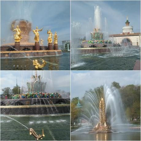 Fountains ENEA: Friendship of Peoples, Stone flower on a background of pavilion Ukraine, The Stone Flower, Spike.