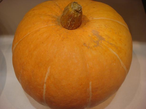 Picture taken by the author (pumpkin grown itself)