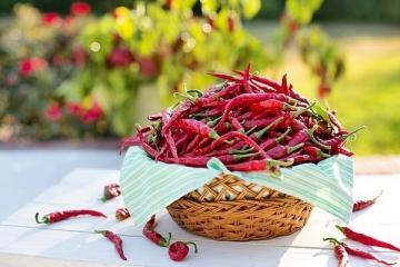 Top 5 reasons to include spicy foods in your diet