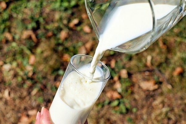 But if you feel unpleasant sensations in the stomach or intestines after a glass of milk, it is better to refuse it in favor of fermented milk products (Photo: Pixabay.com)