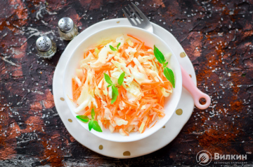 Fresh cabbage and carrot salad with vinegar