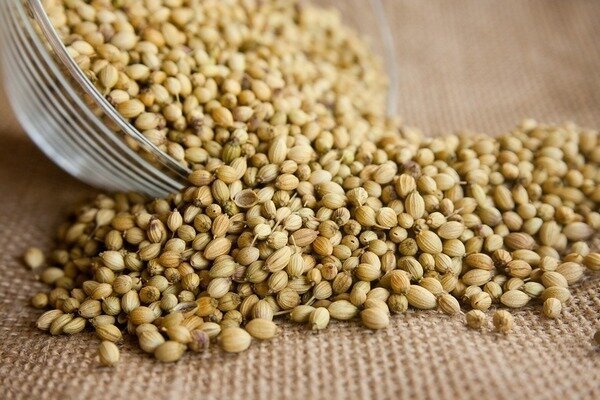 Not everyone likes coriander, but this spice is very healthy. (Photo: Pixabay.com)