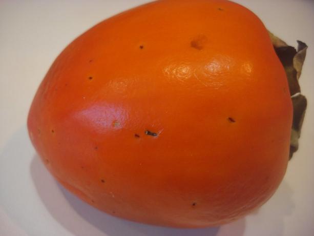 Picture taken by the author (pierced persimmon, close-up)