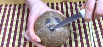 How easy it is to open a coconut at home. And how to pick a good coconut.