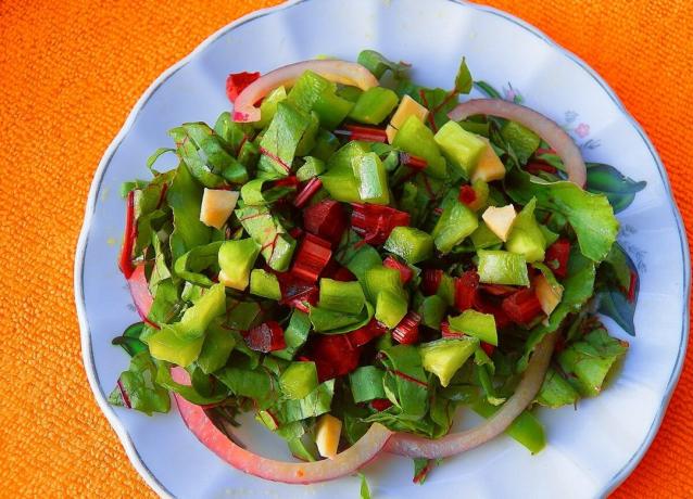 Healthy salad of beet tops