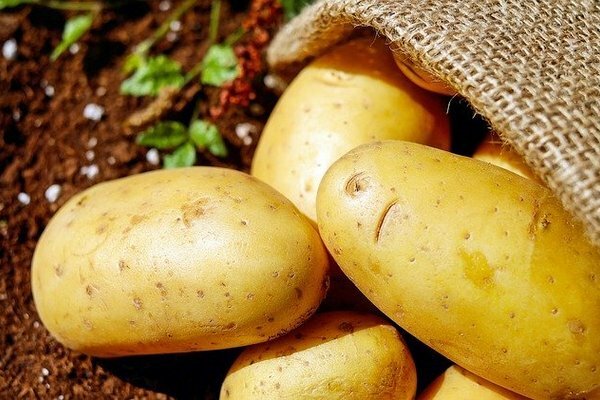 The disappearance of potatoes could lead to a serious food crisis (Photo: Pixabay.com)