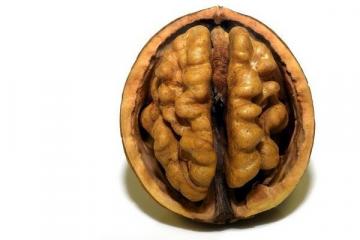 8 foods that lead to dementia