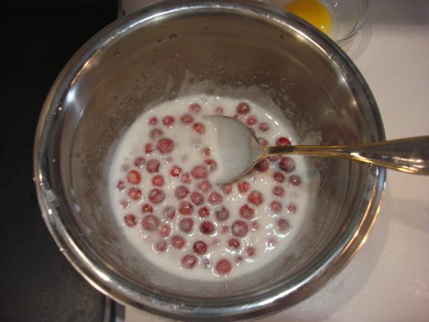 Picture taken by the author (berries in protein and sugar)