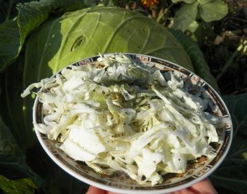 Salad for harmony and rejuvenation of the two cabbages