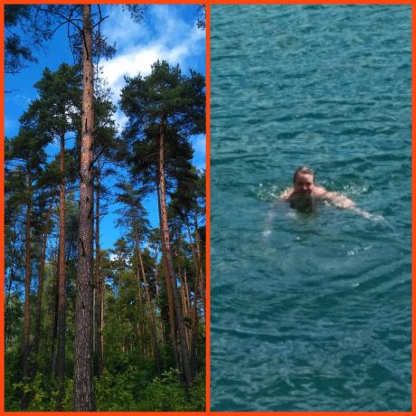 Water is surrounded by pine forest - a wonderful weekend!