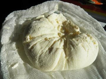 The easiest recipe for a delicious home-made cheese (like Adygeya)