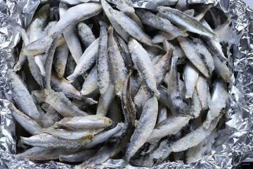 Which frozen fish is best to buy for frying