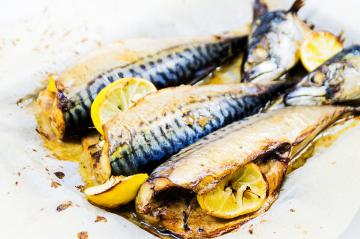 The truth about... Mackerel: helpful or harmful to the fish?