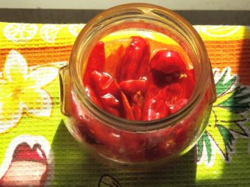 Hot red pepper to the meat, which improves intestinal peristalsis