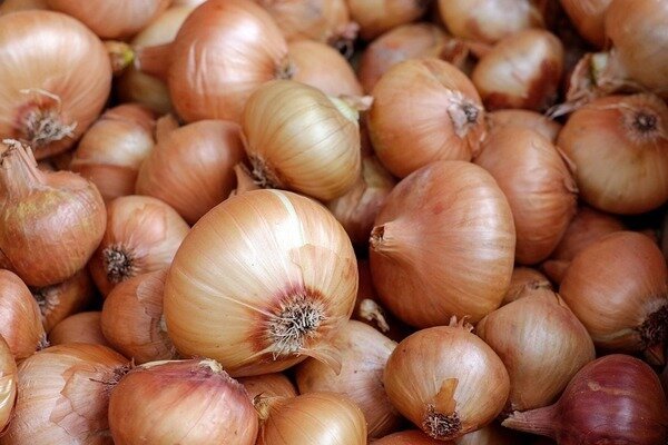 Taking a decoction of onions can improve immunity and get rid of parasites (Photo: Pixabay.com)