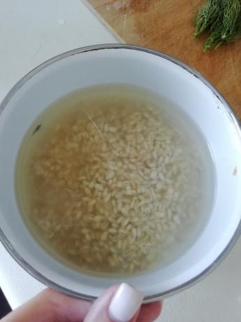 Barley, drenched with boiling water