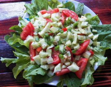 Summer salad with a surprise the cat Awnings!