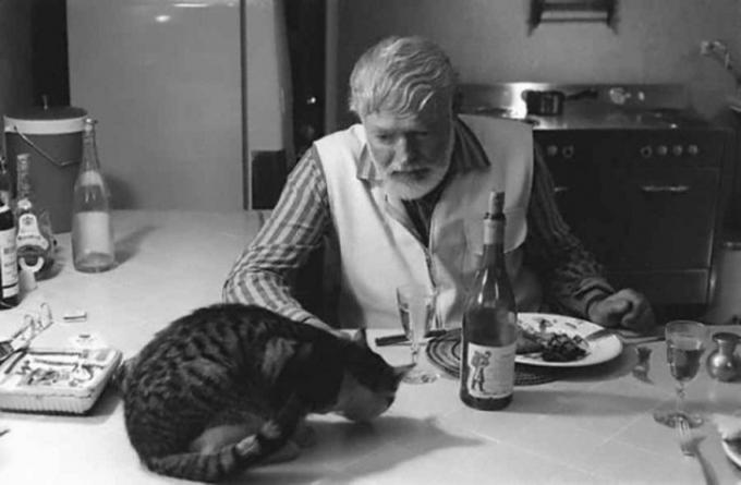 Ernest Hemingway has dinner with the cat.