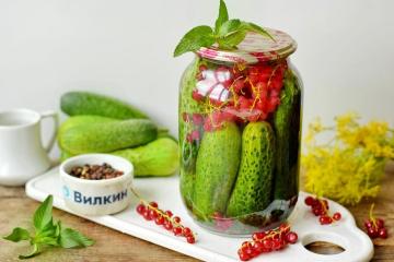 Cucumbers with red currants for the winter