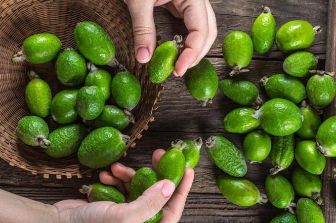 It looks like a ripe berry feijoa. Photos - Yandex. Images