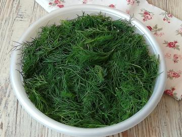 As I dry dill for winter for 4.5 minutes, with no loss of color