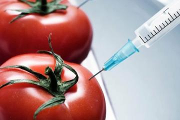 10 GMO foods we eat and don't even know