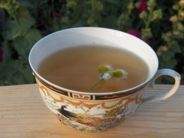 Chamomile herbal tea from fatigue, Escape!